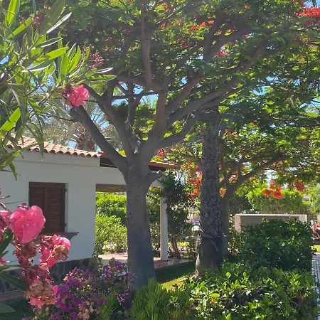 Rosa Golf Maspalomas (Gran Canaria)